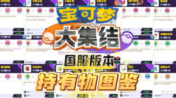 宝可梦大集结持有物图鉴国服版