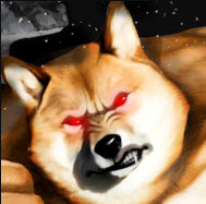 肌肉柴犬