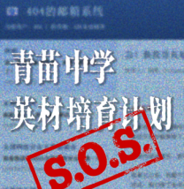 青苗中学英才培养计划