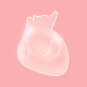 生命life