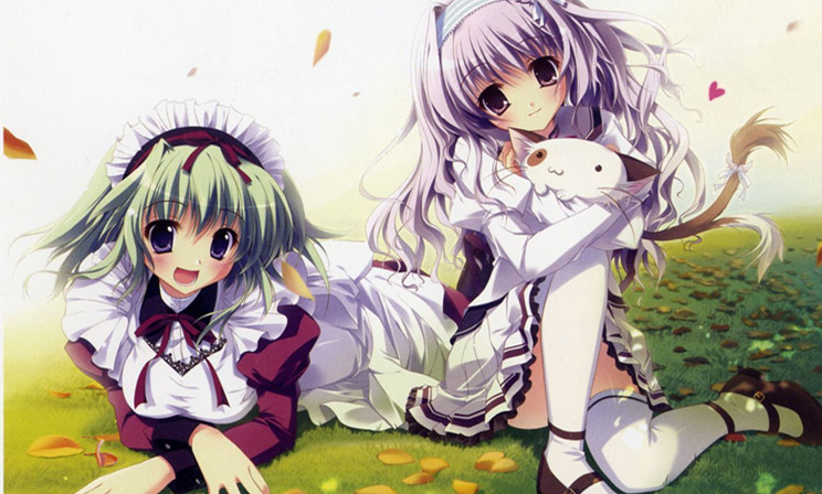 1764588294942432.png image.png