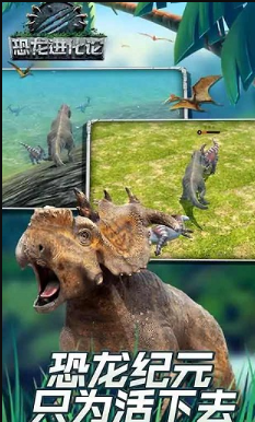 1767683496564117.png image.png