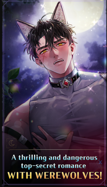 1770552266103527.png image.png