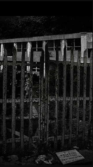 1770621846941188.png image.png